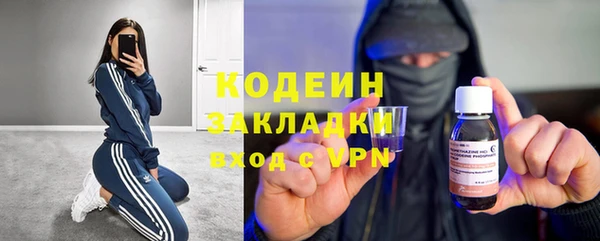 соль ск Арсеньев