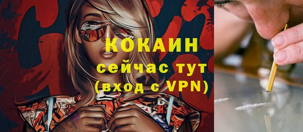 соль ск Арсеньев